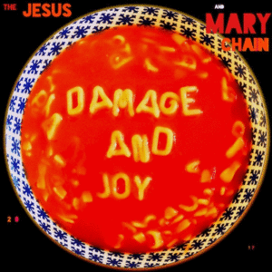 Damage and Joy (2 LP)