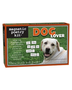 Dog Lover: kit de 200 palabras  en magnetos (3137)