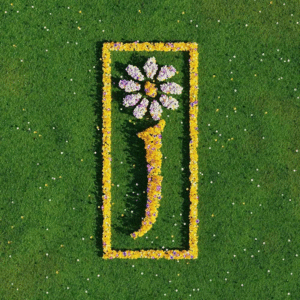 Nothing But Love, The Definitive Best Of... (2 LP)