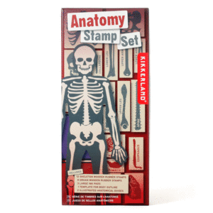 Anatomy Stamp: set de sellos (GG237)