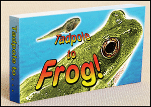 Tadpole to Frog: Fliptomania