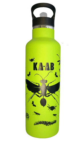 Insectos: botella insulada de acero inoxidable 750 ml.