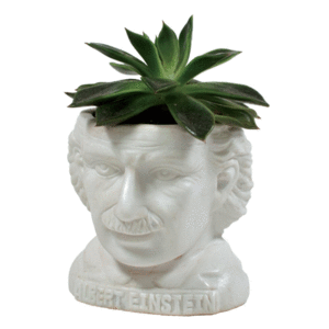 Albert Einstein Bust Planter: maceta