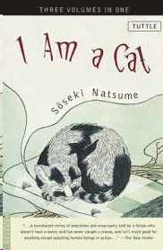 I am a cat