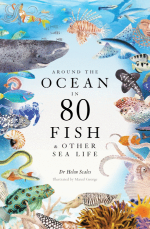 Around the Ocean in 80 Fish and Other Sea Life