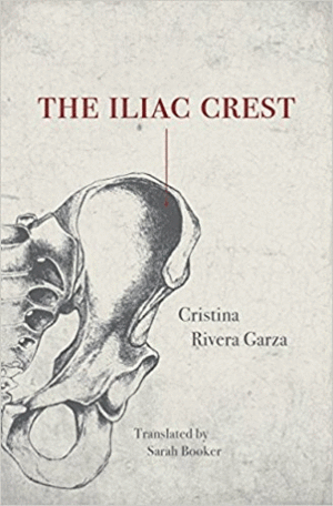 Iliac Crest, The
