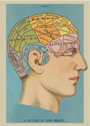 Phrenology, Vintage Poster: papel decorativo