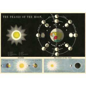 Phases Of The Moon, Vintage Poster: papel decorativo