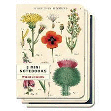 Wildflowers: set de 3 mini libretas