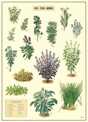 Aux Fines Herbes, Vintage Poster: papel decorativo