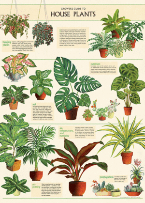 House Of Plants, Vintage Poster: papel decorativo