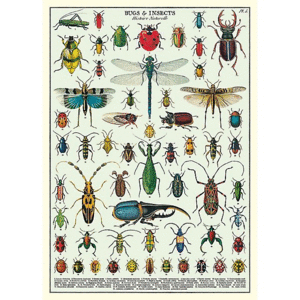 Bugs & Insects, Vintage Poster: papel decorativo