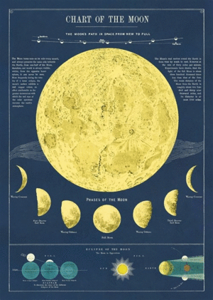 Moon Chart, Vintage Poster: papel decorativo