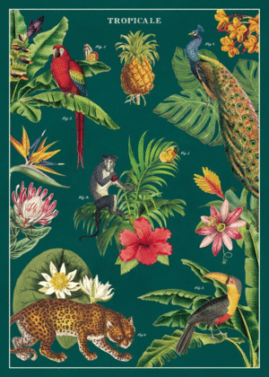 Tropicale, Vintage Poster: papel decorativo