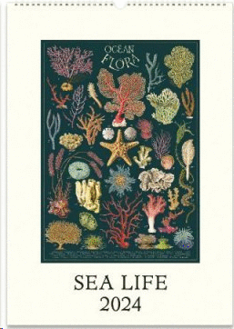 Sea Life: calendario de pared 2024