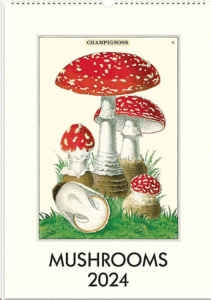 Mushrooms: calendario de pared 2024