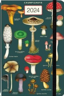 Mushrooms: agenda semanal 2024