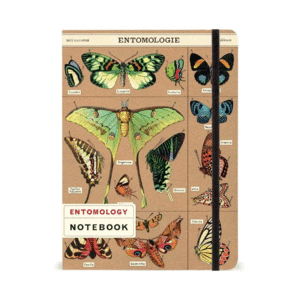 Entomology: libreta grande rayada