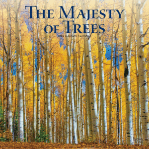 Majesty of Trees: calendario de pared 2023