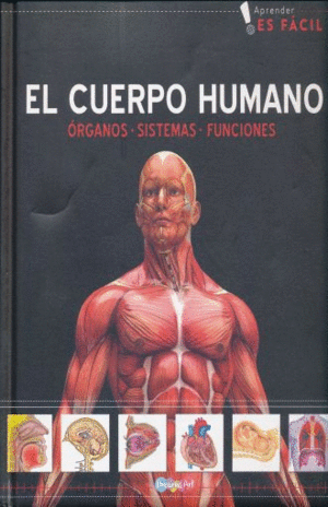 Cuerpo humano, El