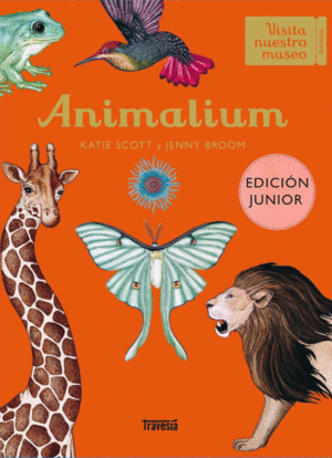 Animalium