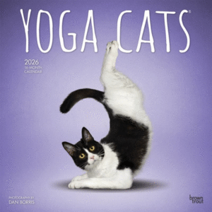 Yoga Cats, 16 Month: calendario de pared 2026