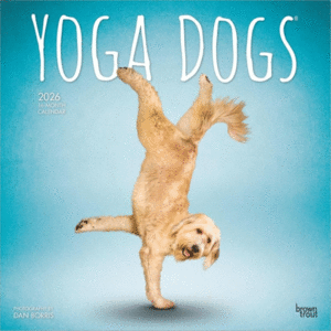 Yoga Dogs, 16 Month: calendario de pared 2026