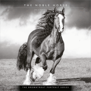 The Browntrout Portrait Series, The Noble Horse, 16 Month: Calendario de pared 2026