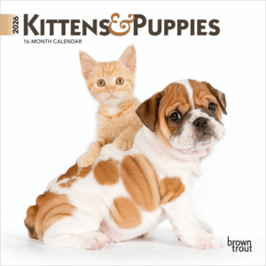 Kittens & Puppies, Mini, 16 Month: calendario mini de pared 2026