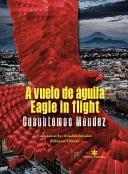 A vuelo de águila