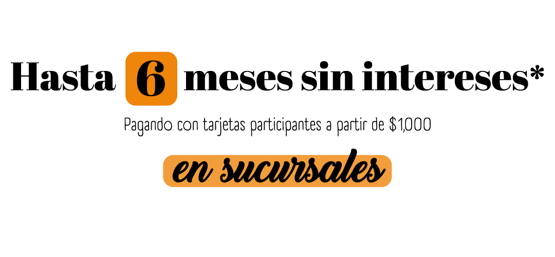 6 meses sin intereses en sucursales*