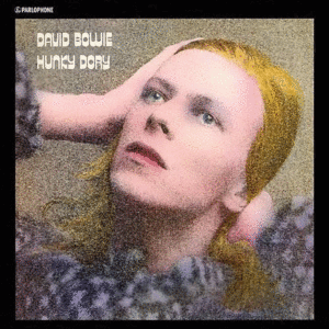 Hunky Dory: Picture Disc (LP)