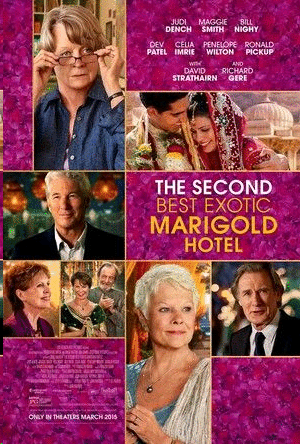 Second Best Exotic Marigold Hotel, The (DVD)