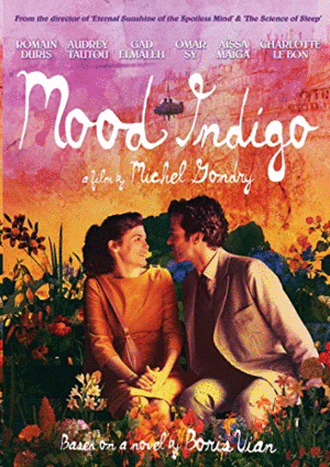 Mood Indigo (2 DVD)
