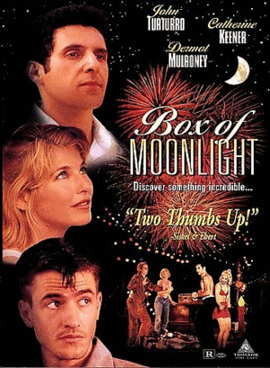 Box of Moonlight (DVD)