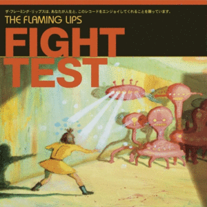Fight Fest, 12