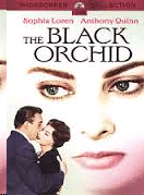 Black Orchid, The (DVD)