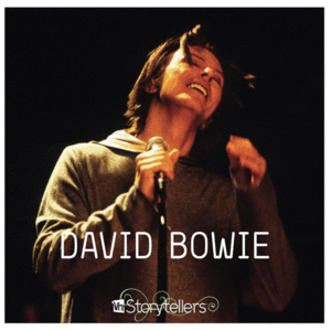 VH1 Storytellers (2 LP)