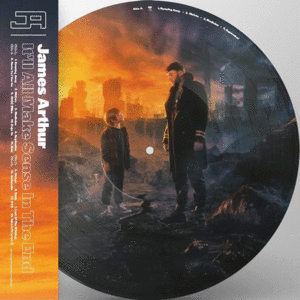 It'll All Make Sense In The End: Picture Disc (2 LP)