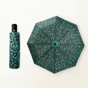 Secession, Easy Umbrella: paraguas