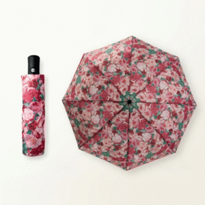 Rosenpark, Easy Umbrella: paraguas