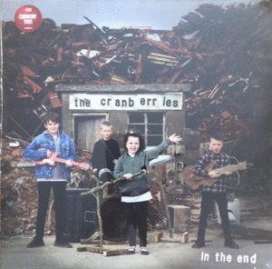 In The End: Coloured Edition (LP)
