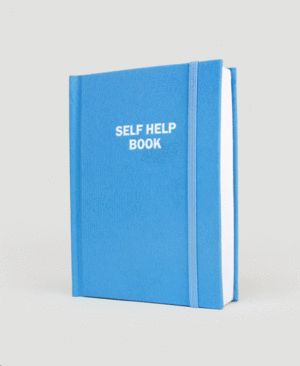 Self Help Flask In A Book: licorera 4oz