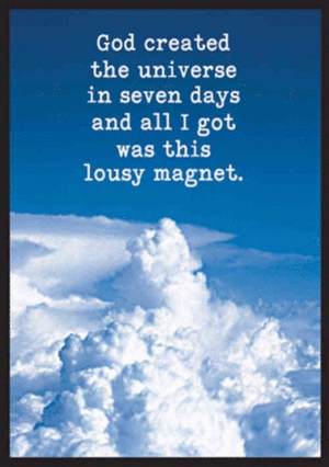 Lousy Magnet: magneto decorativo (3287)
