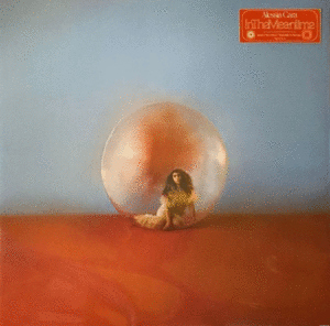 In The Meantime (2 LP)