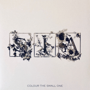 Colour The Small One: RSD, White & Transparent Edition (2 LP)