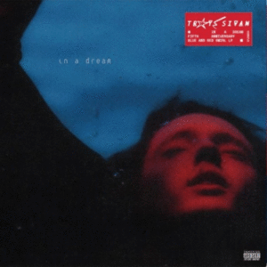 In a Dream: 5th Anniversary, Blue and Red Swirl Edition (LP)