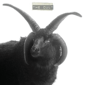Cult: Ivory Edition (LP)
