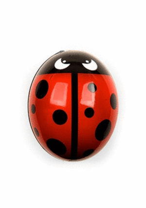 Ladybug: portacepillo (HH07)