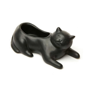 Cosmo The Black Cat Planter: maceta (PL14)